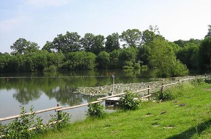 Кемпинг Erholungsgebiet Waldsee GmbH