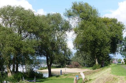 Camping De Hoge Waard