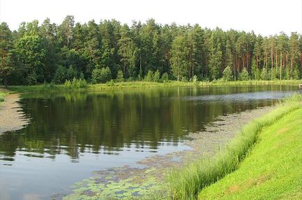 Kubija hotel and Naturespa