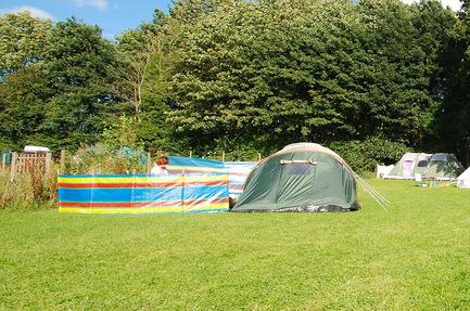 Camping Muntjac Meadow