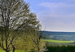 Ardennen