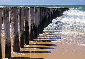 Zelanda