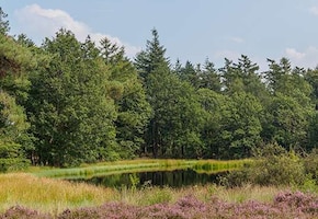 Denekamp