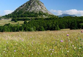 Privas