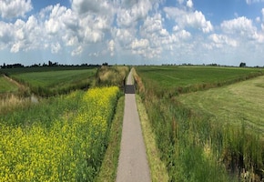 Frisia