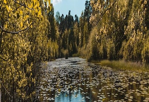 Oisterwijk