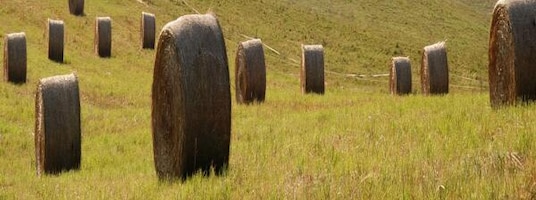 Klánovice