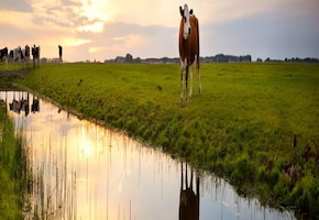 Lauwersoog