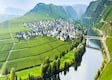 Alemania