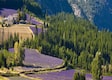 Provenza-Alpi-Costa Azzurra