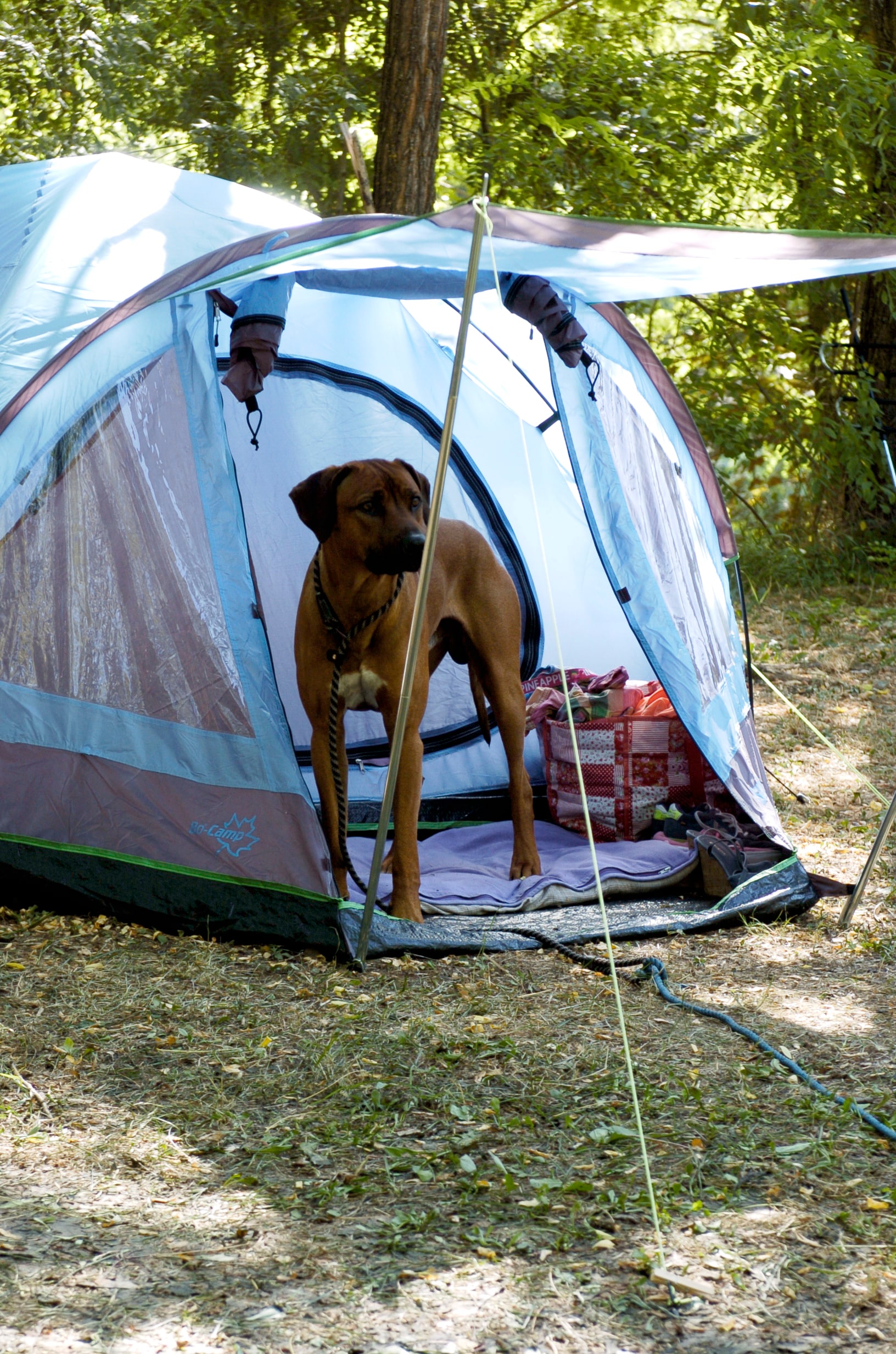 Camping Genova Est | ACSI