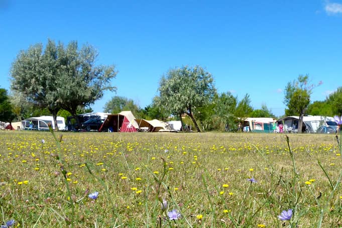 Campsite photo 1