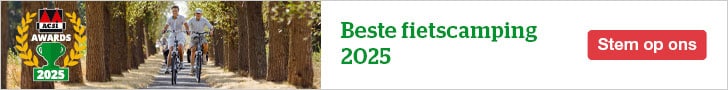 website banner