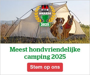 website banner