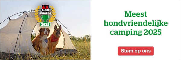 website banner