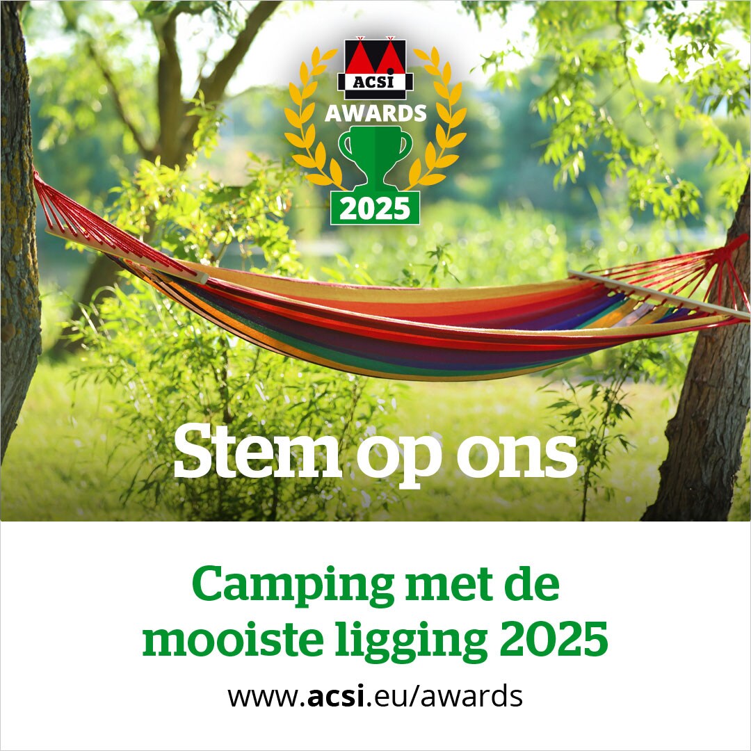 website banner