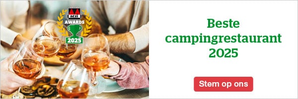 website banner