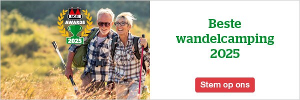 website banner