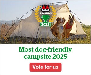 website banner