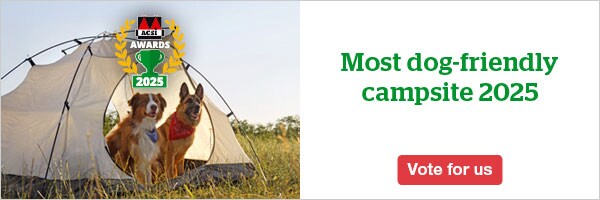 website banner