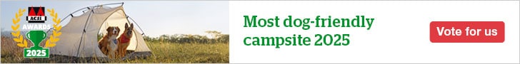 website banner
