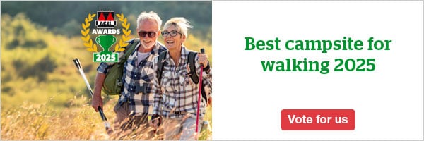 website banner