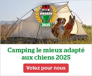 website banner