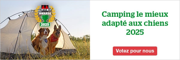 website banner