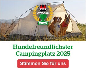 website banner