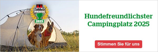 website banner