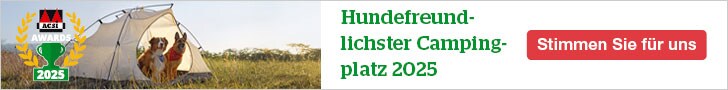 website banner