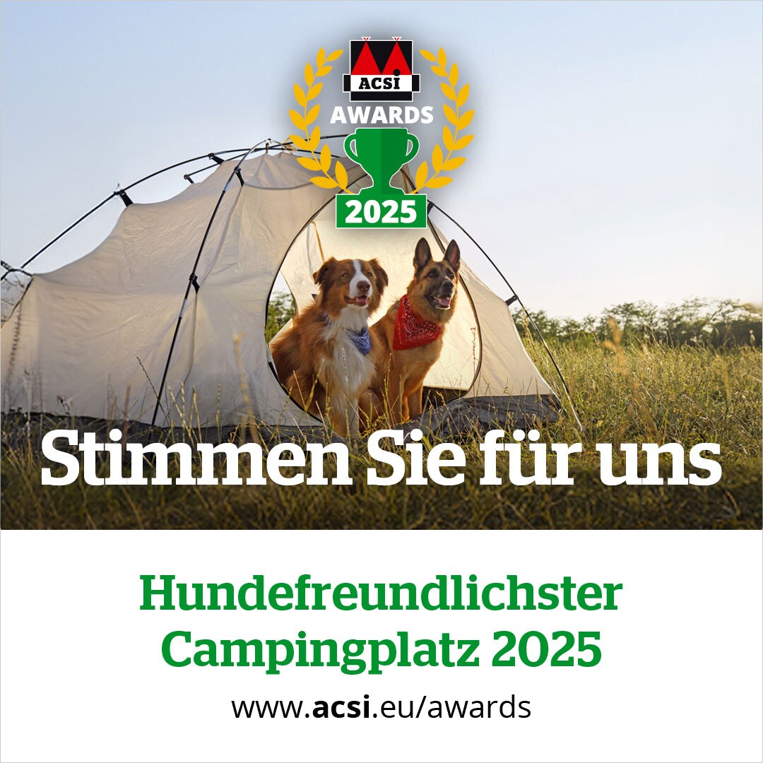 website banner