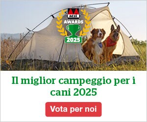 website banner