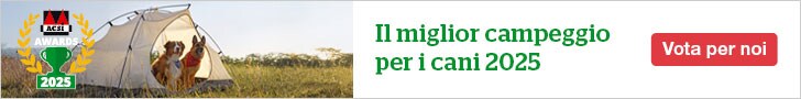 website banner