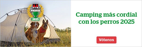 website banner