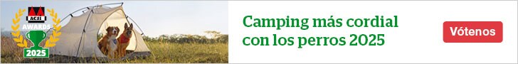 website banner