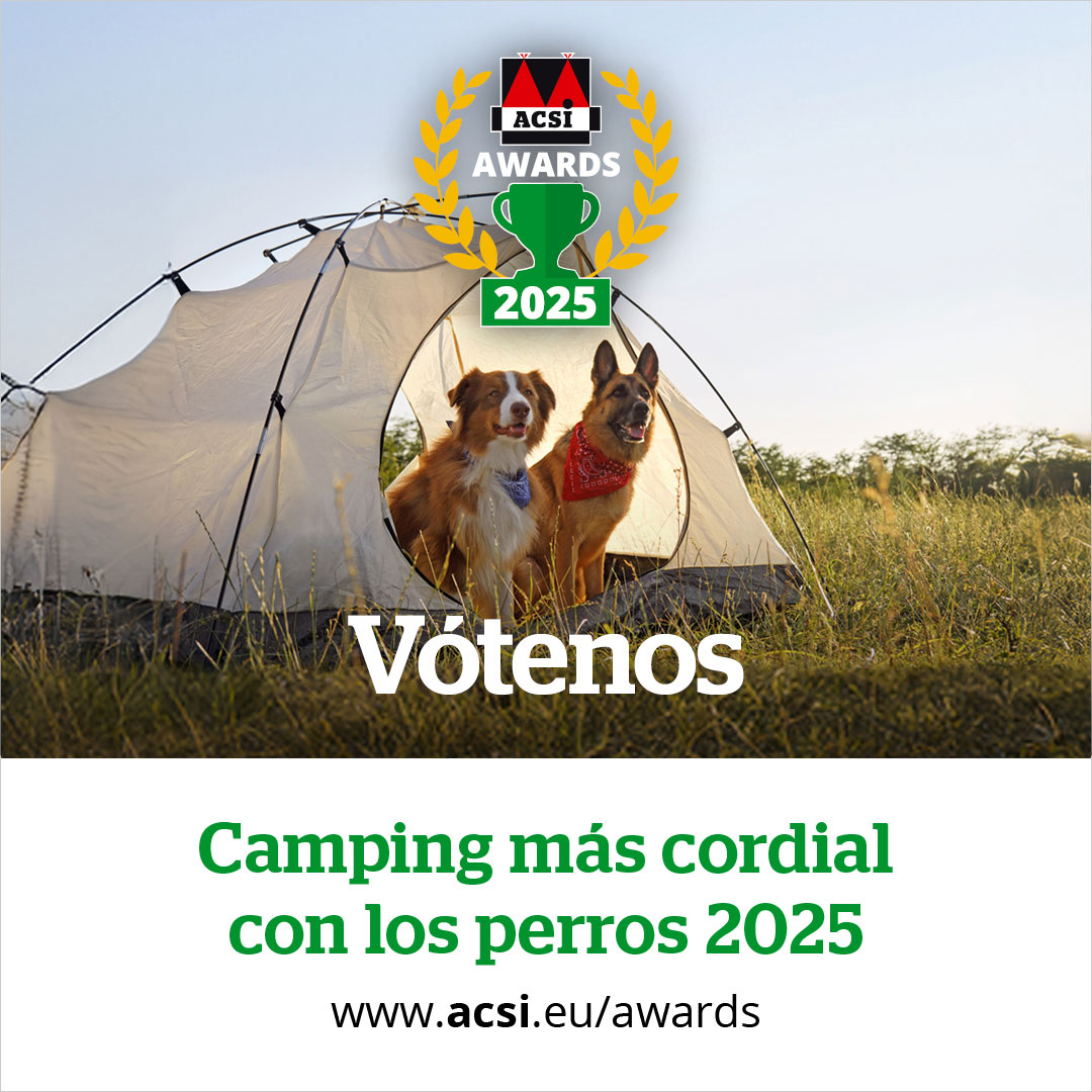 website banner