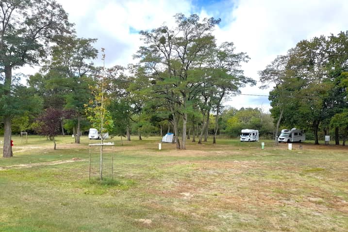 Campsite photo 1