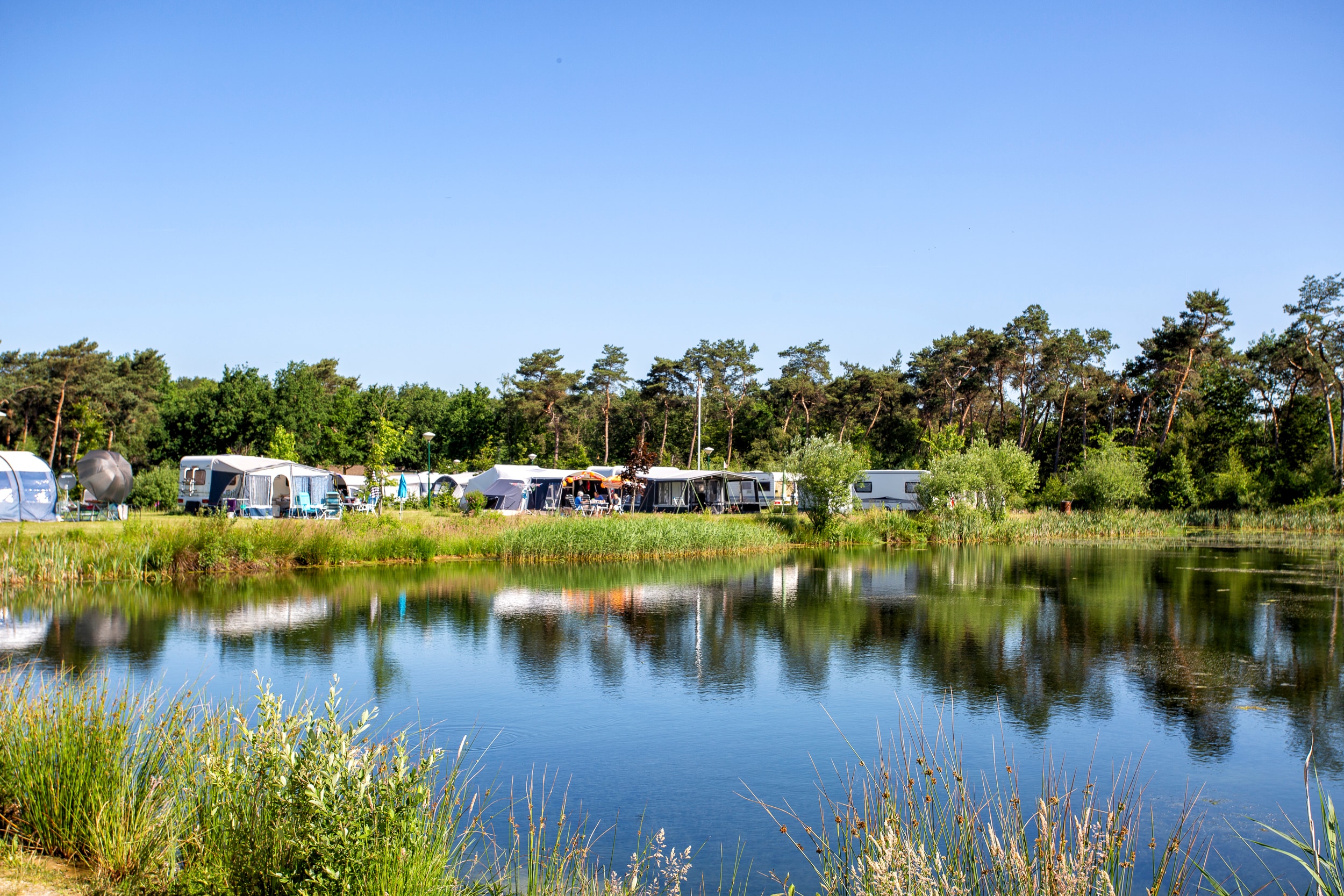 ParcCamping de Witte Vennen