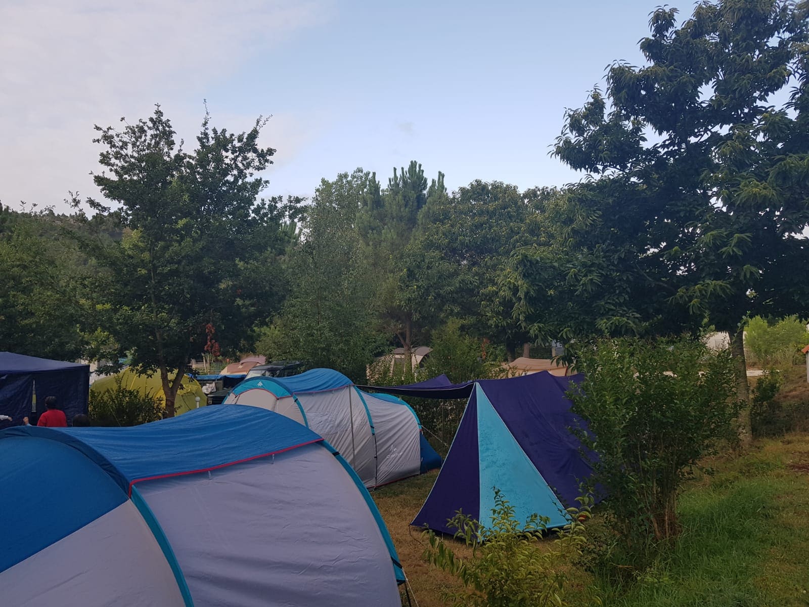 Camping Ria de Arosa 2 (Rural)