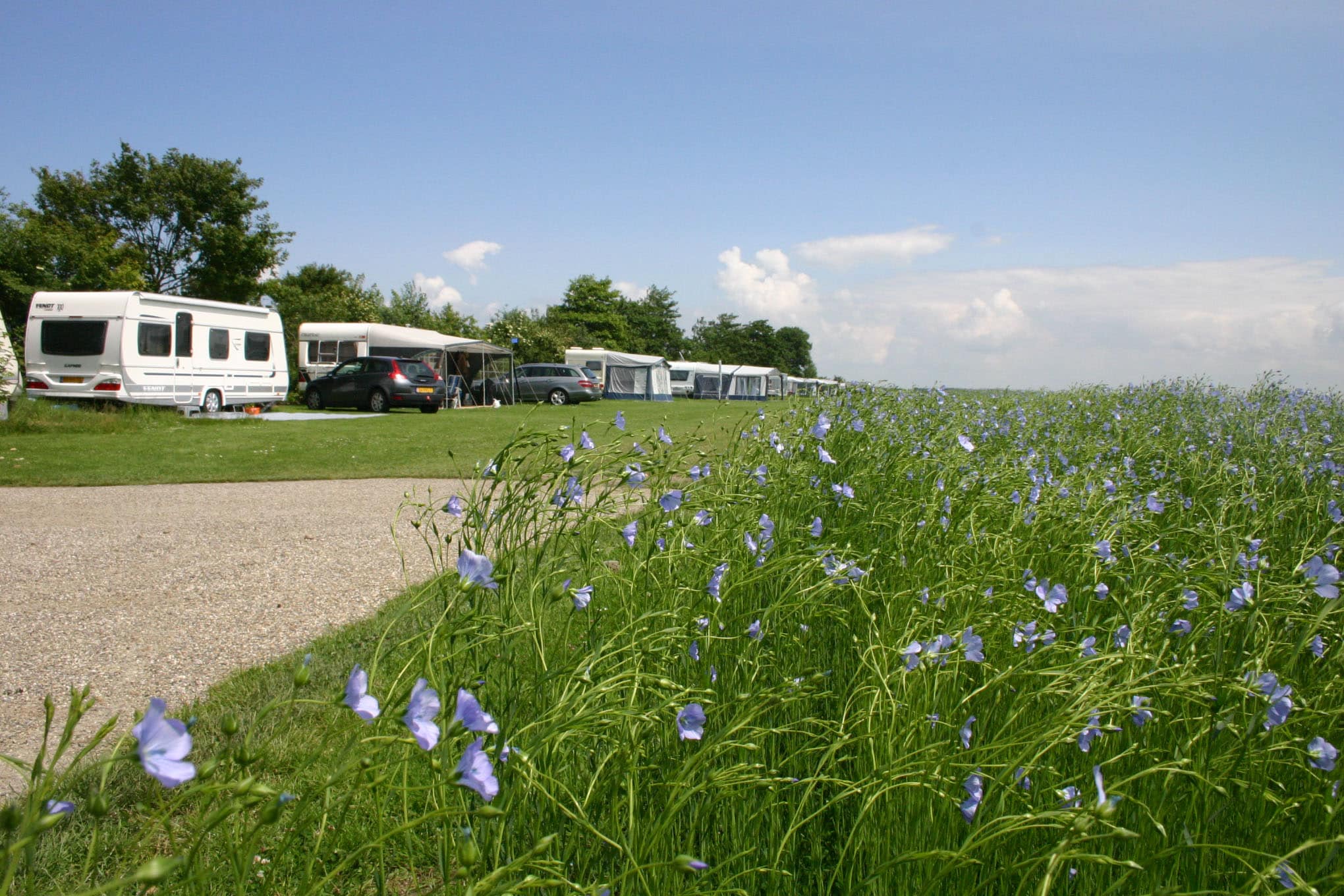 Camping Den Molinshoeve