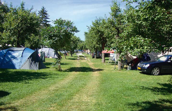 Campsite photo 1
