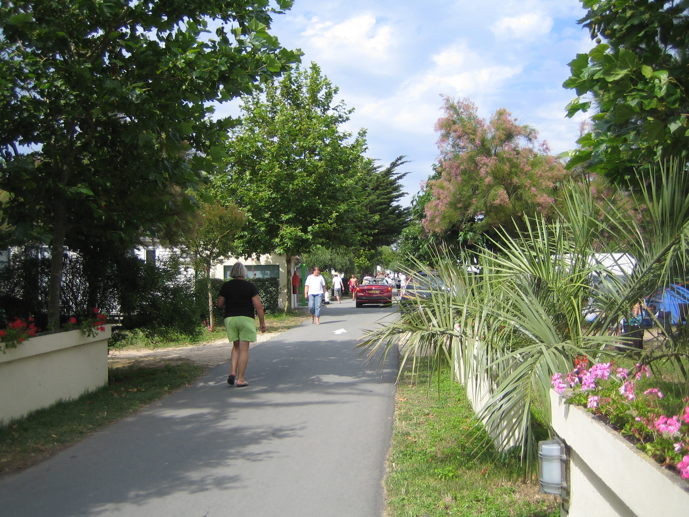 Camping Le Cormoran — 4