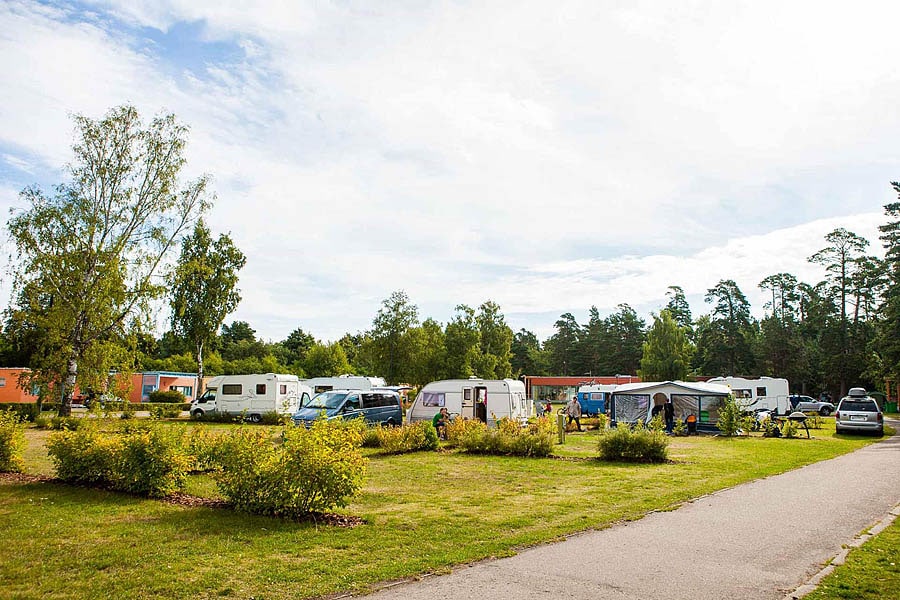 Piejuras Kempings (Seaside camping)