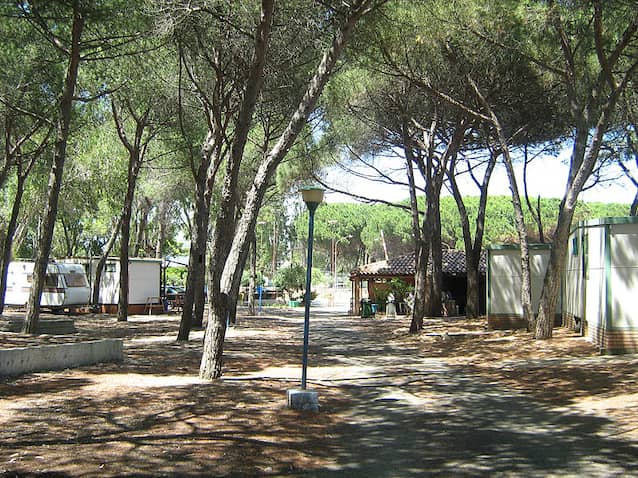 Campsite photo 1