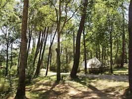 campsite-image
