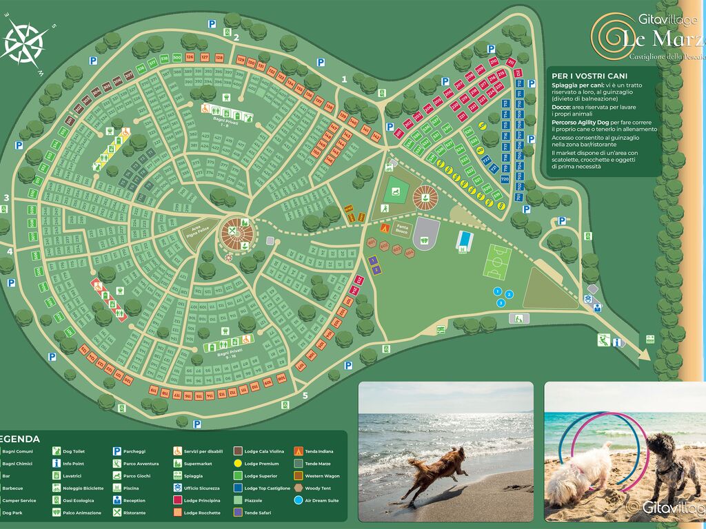 View map