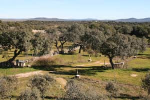 campsite-image