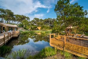 campsite-image