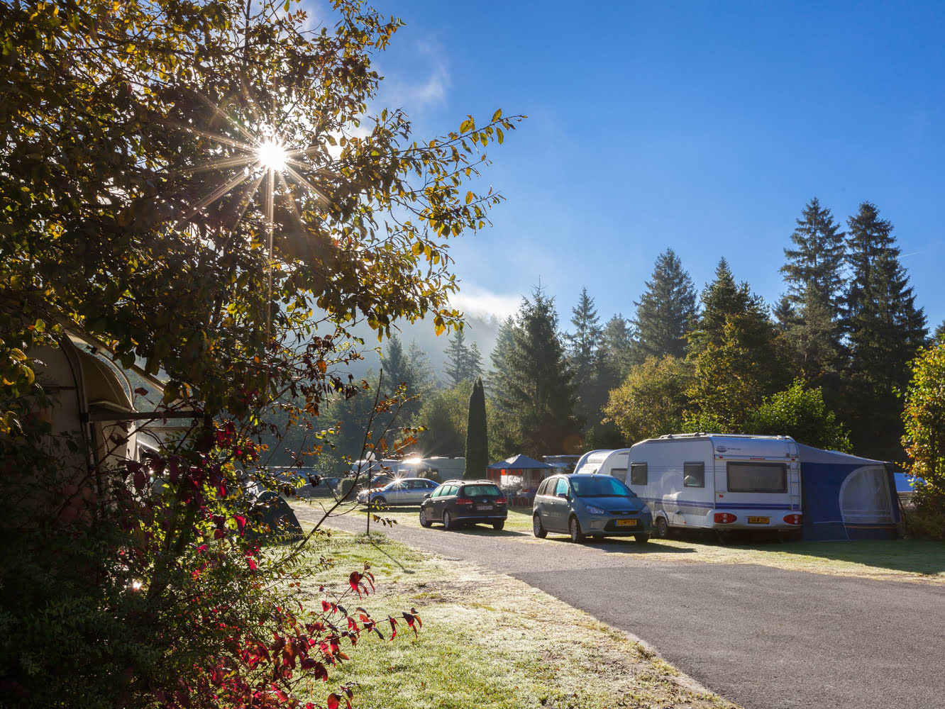 campers en caravans in het groen